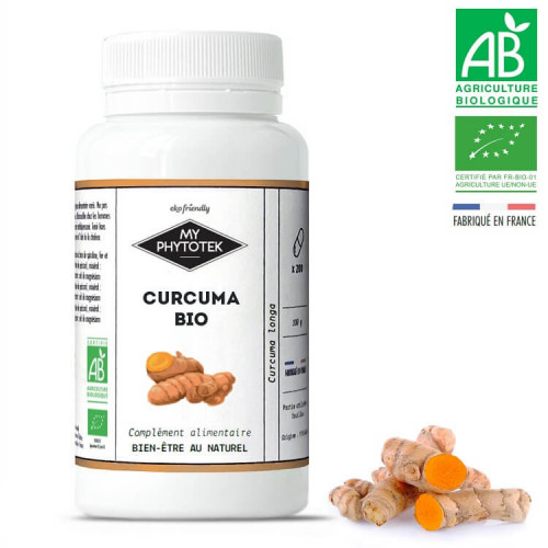 Curcuma BIO (en poudre) - riche en antioxydants