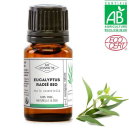 Comment utiliser l'huile essentielle d'Eucalyptus radié ?