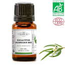 Comment utiliser l'huile essentielle d'Eucalyptus globuleux ?