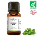 Comment utiliser l'huile essentielle de Niaouli ?